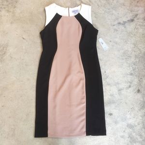 🆕️ Shelby & Palmer illusion dress sz 8